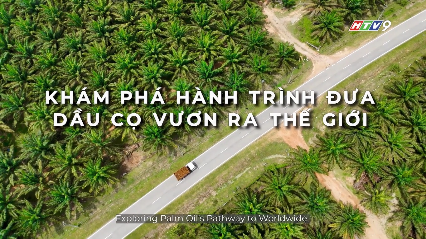 Exploring Palm Oil`s Pathway to Worldwide